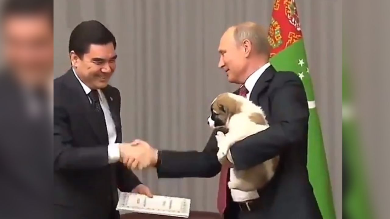 VIDEO: Vuelven a viralizar momento en el que Putin carga a un cachorro