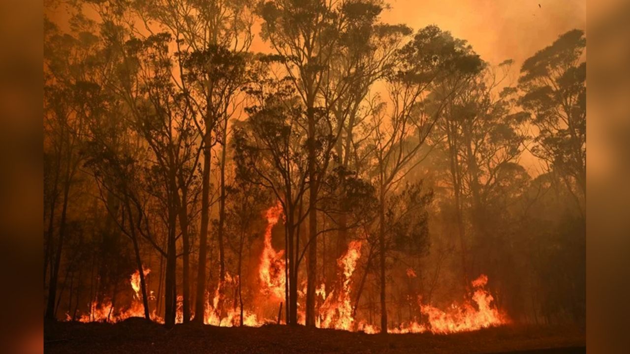 Van 21 muertos por los devastadores incendios forestales en Australia
