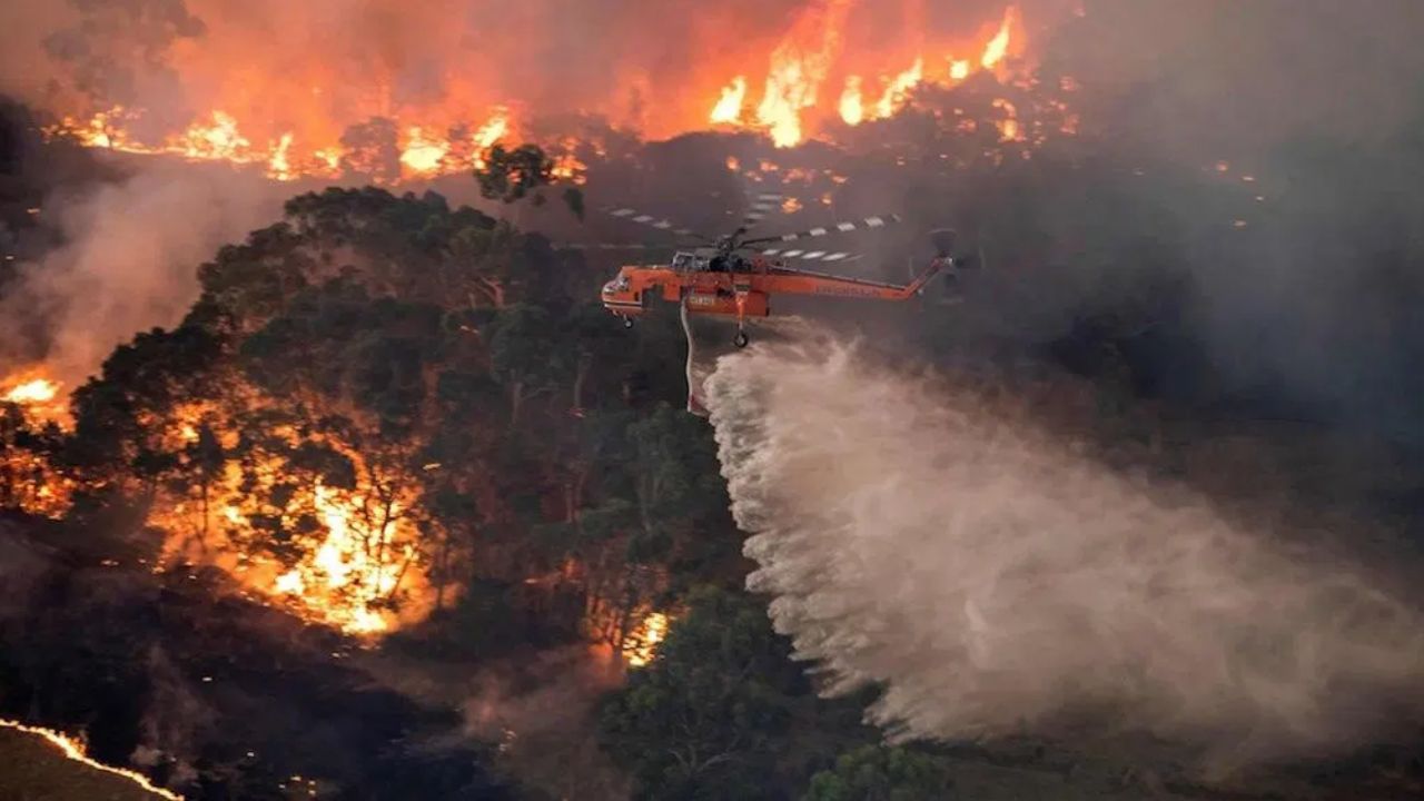 Alarmantes imágenes de los incendios en Australia vistos desde el espacio