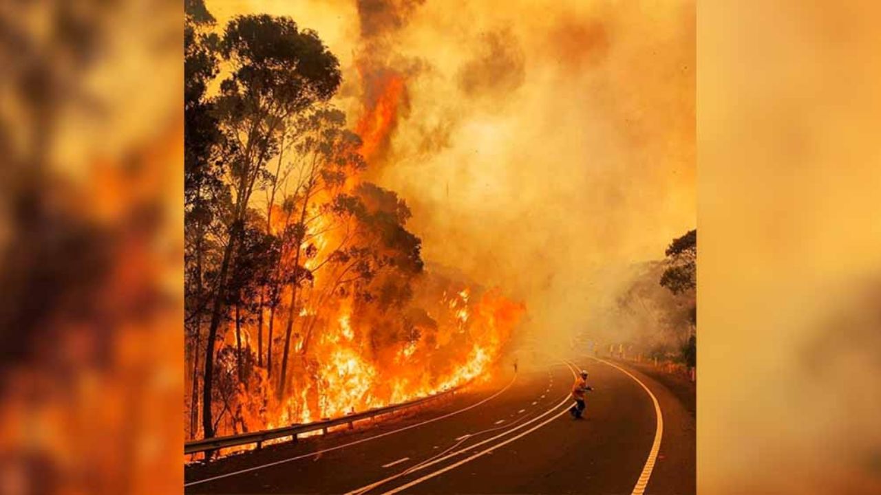 FOTOS: El impactante incendio que luce como lava sobre ladera en Australia