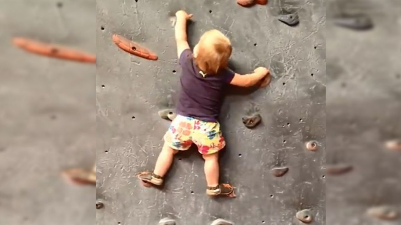 VIDEO: Como un profesional, bebé realiza riesgosa escalada en roca