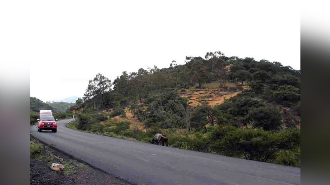 Vehículo cae al barranco en Zapopan; hay 2 menores y 3 adultos lesionados