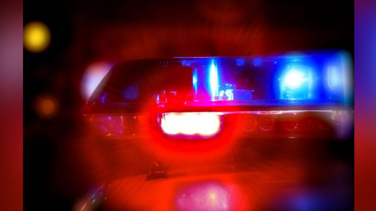 Grupo de vecinos estalla en contra de un presunto violador de perros