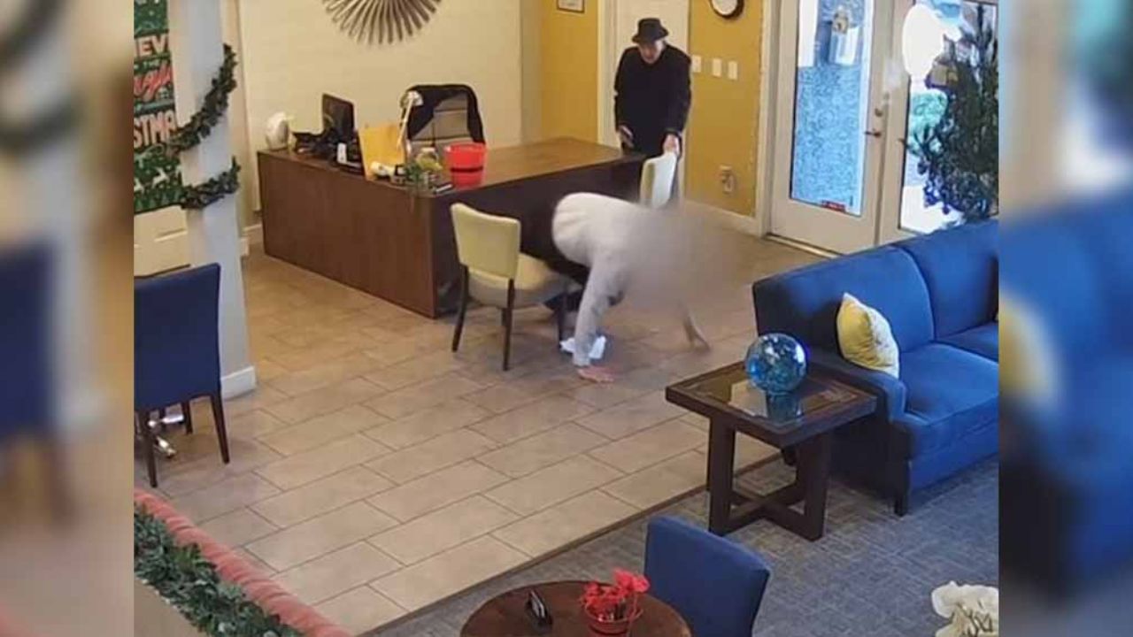 VIDEO: Furioso y sin titubeos, anciano balea a hombre tras daños a su casa