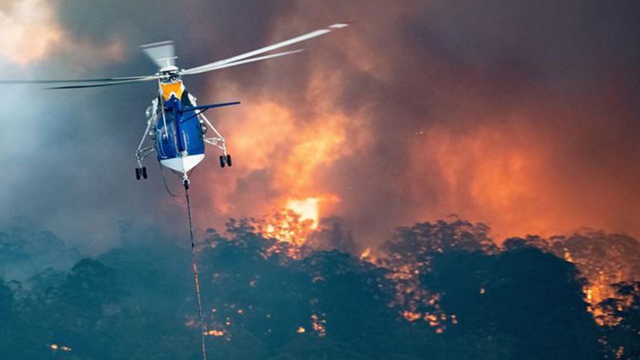 Por esta impactante razón, Australia se consume en el incesante fuego