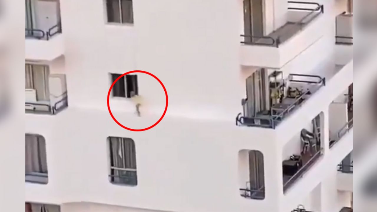 VIDEO: ¡Impactante! Niña arriesga su vida al caminar por cornisa de edificio