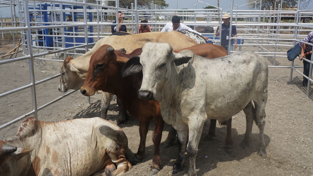 Querétaro anuncia instalación de módulos del Siniiga en sus municipios