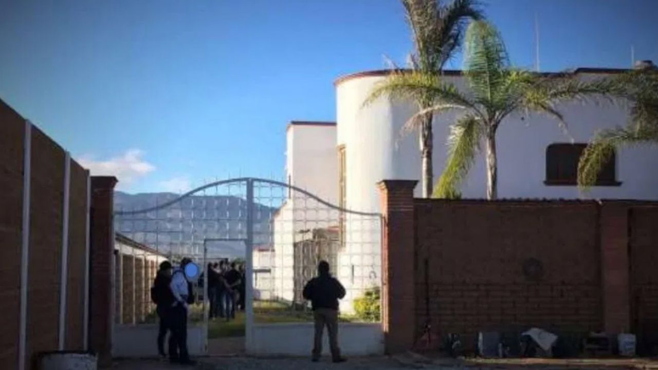 Aseguran animales exóticos, armas y vehículos durante cateo en Oaxaca