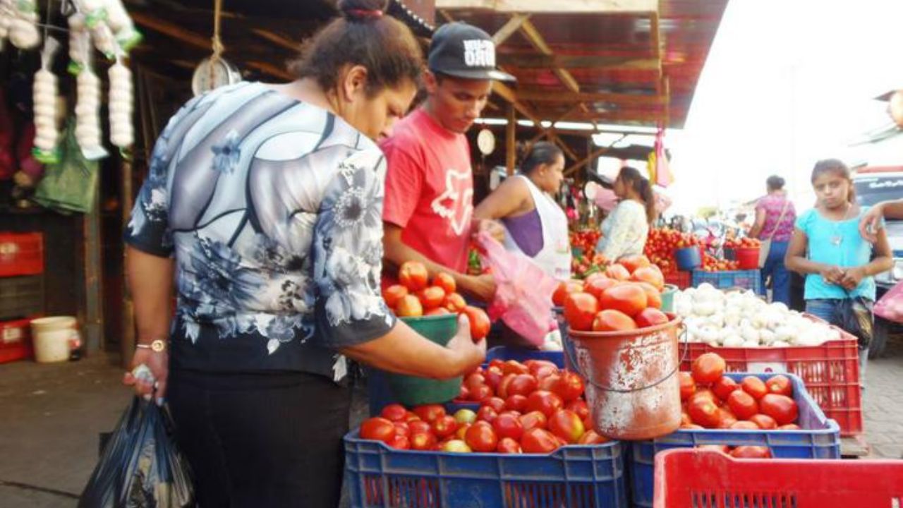 Alza en el valor del tomate ‘pega’ a los comercios y consumidores de Cajeme