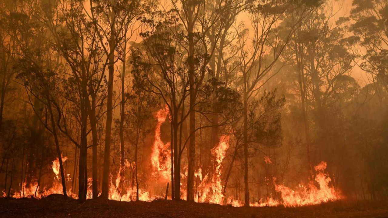 Tragedia en Australia: Sube a 27 la cifra de muertos por los incendios forestales