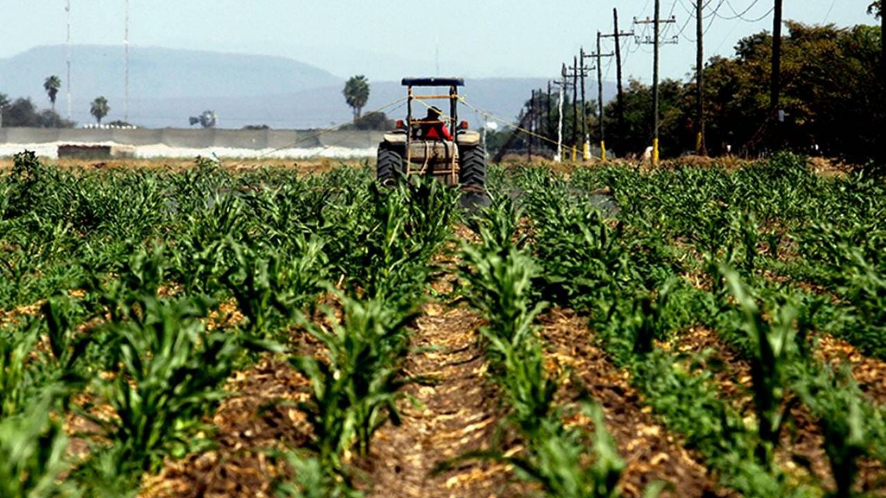 San Luis Potosí es cuarto lugar en crecimiento agropecuario