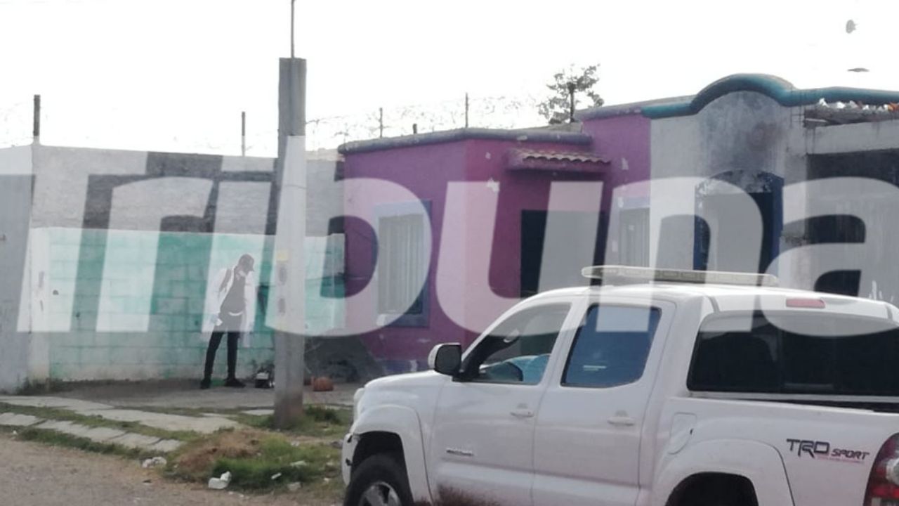 En intento de homicidio a una persona, sicarios privan de la vida a un perro