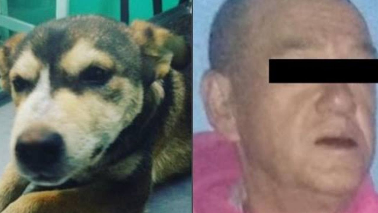 Violador de la perrita Matti, será ingresado al penal de Nezahualcóyotl