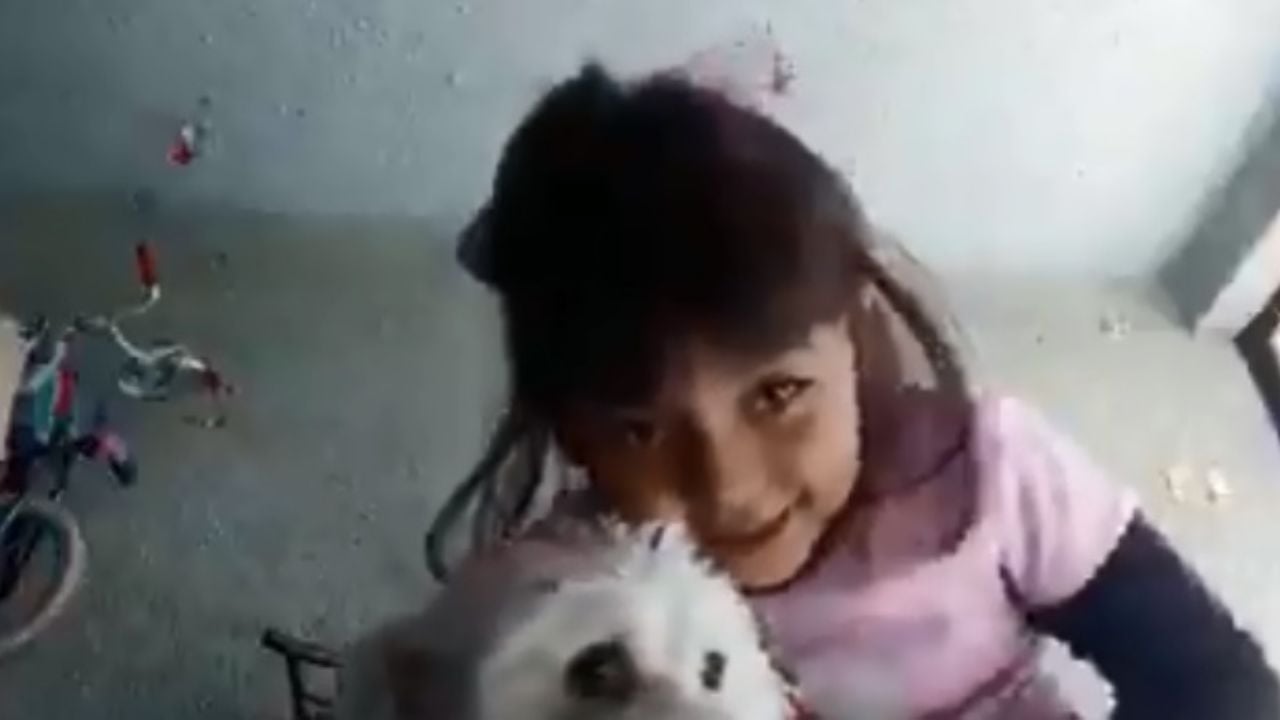 VIDEO: La pequeña youtuber que fue mordida por su perrito Mmis