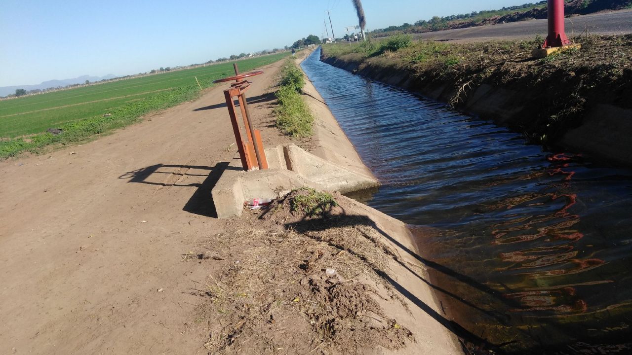 Productores agrícolas de Tamaulipas cuentan con el respaldo de la Conagua