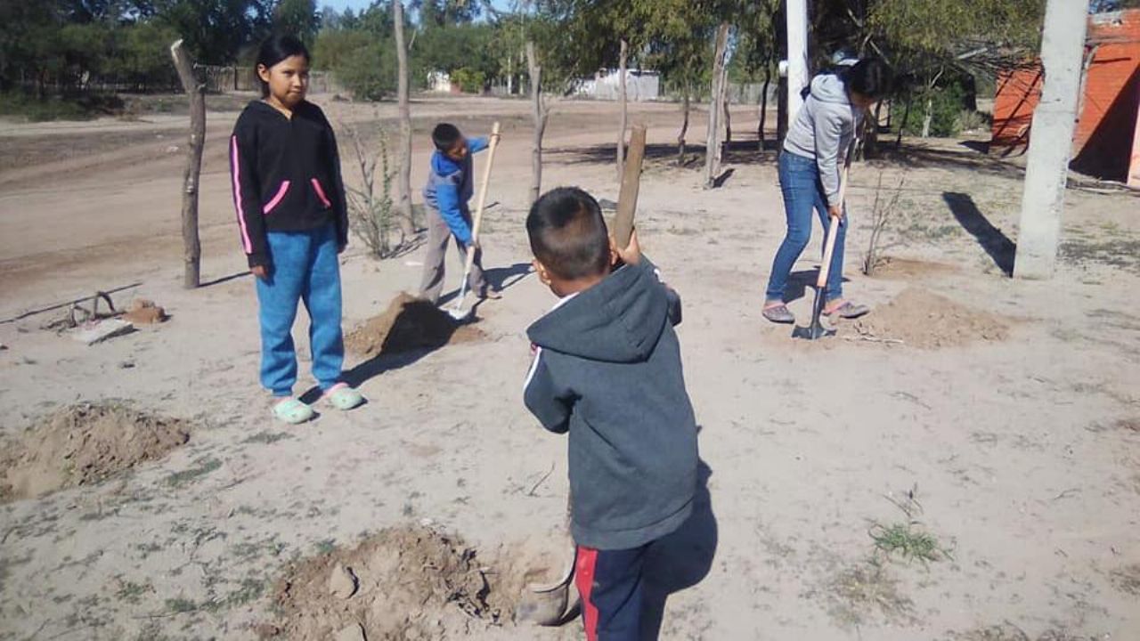 Invernaderos de sangregado se plantan en la comunidad de Belém, Sonora
