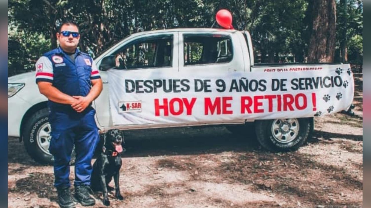 Kurt, el perrito labrador que se jubila de la Cruz Roja luego de 9 años de servicio