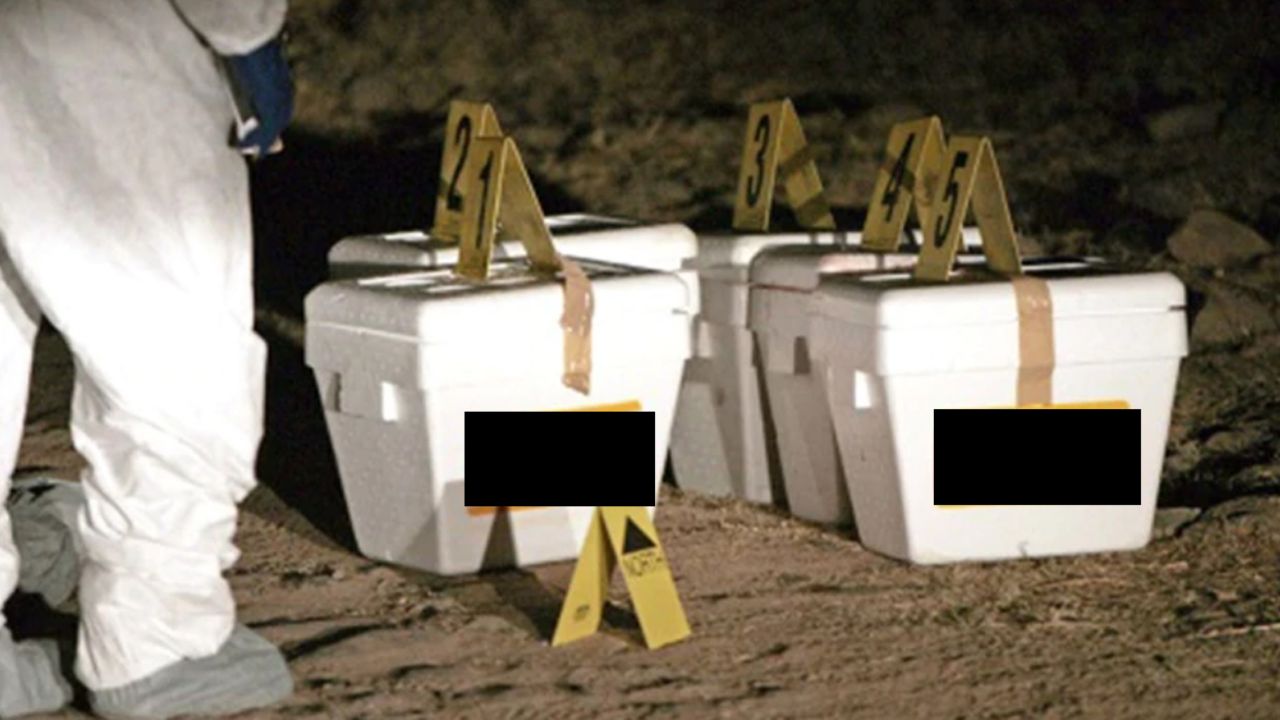 Tras 11 años, recuerdan el macabro hallazgo de 5 cabezas en hieleras