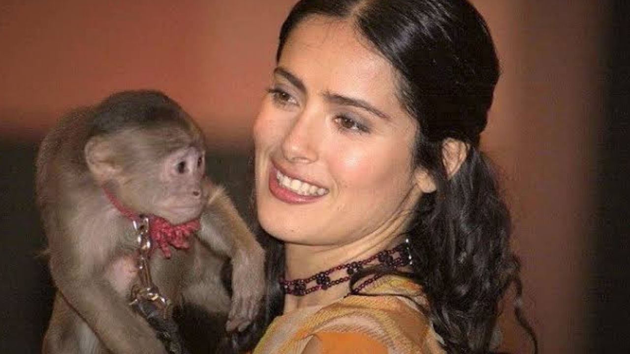Salma Hayek cuenta cómo un mono casi le desfigura la cara en grabación