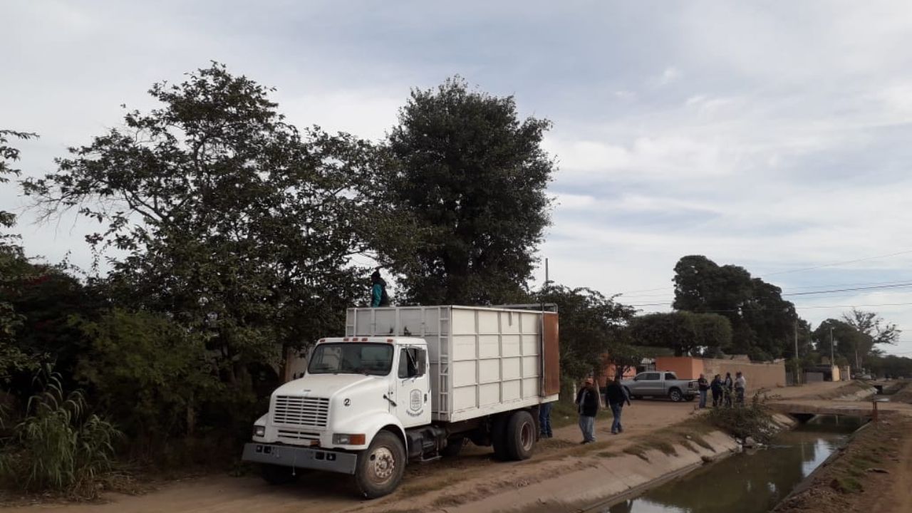 Alcalde pone en marcha el programa ‘Etchojoa en Movimiento’