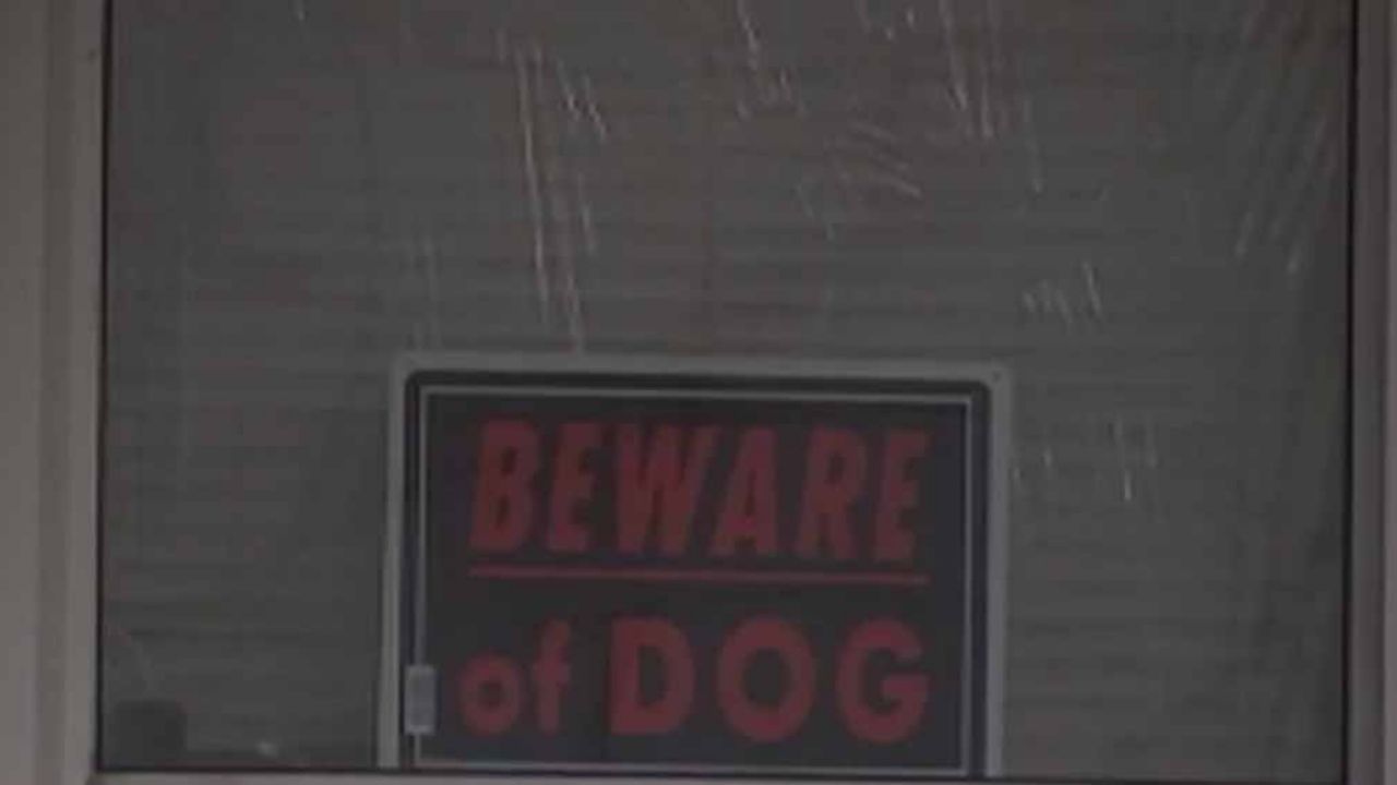 Bebé de 4 meses muere desangrada tras ser atacada por perro de su familia