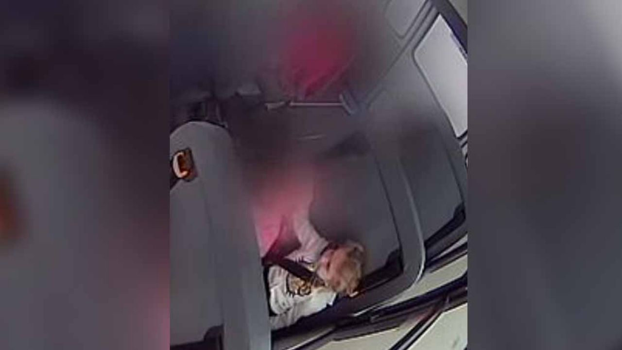 VIDEO: Niña es golpeada por abusivos en autobús escolar; chofer no interviene