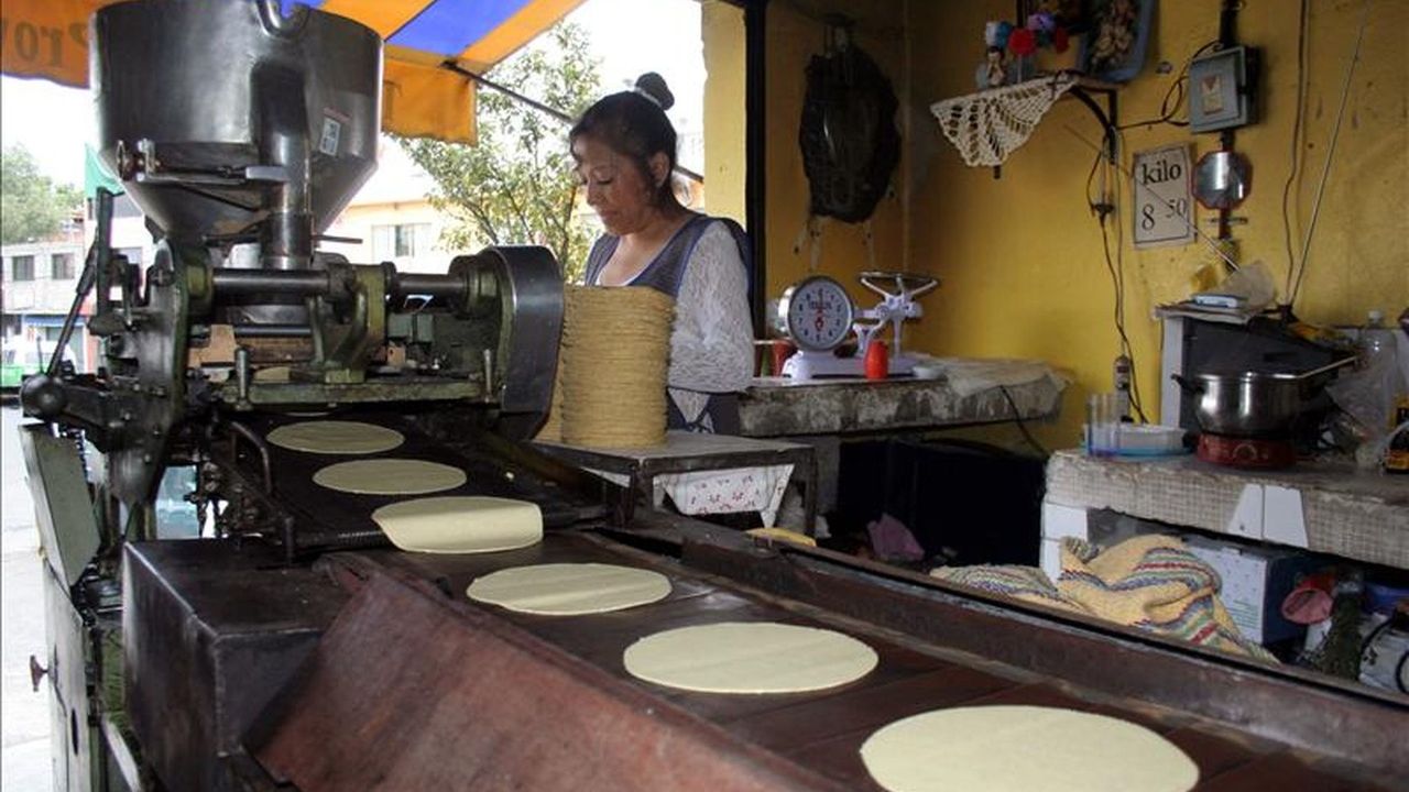 Canacope estima que subirá precio de la tortilla en 25 pesos en kilo