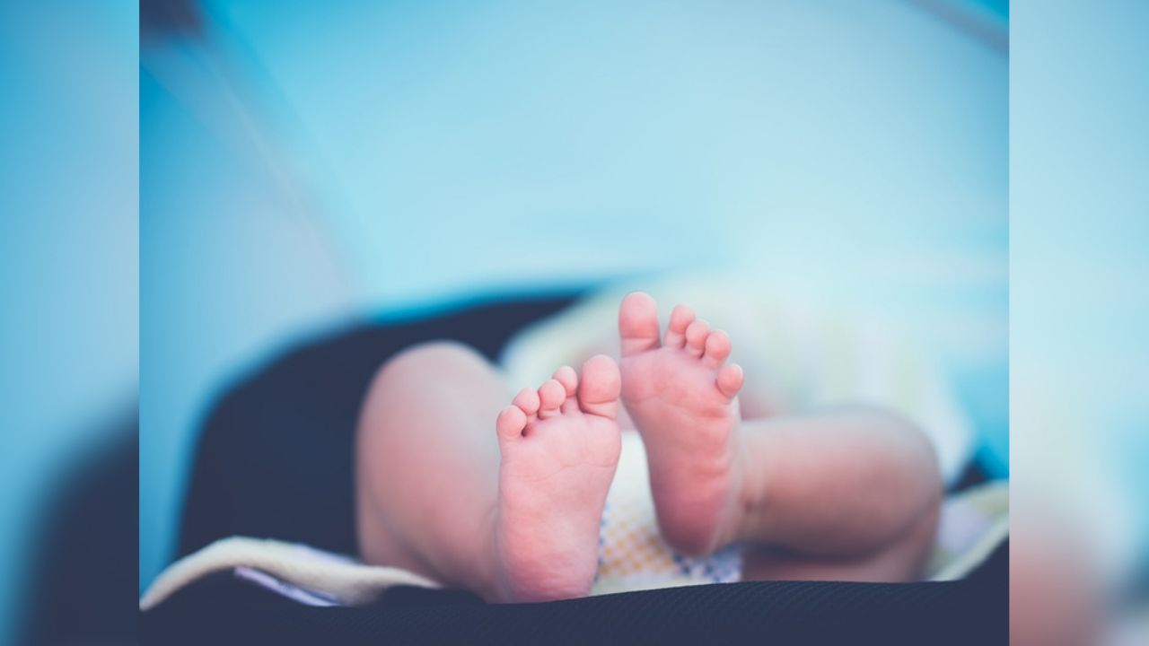 Perro salvaje mata brutalmente a bebé recién nacido en hospital de la India