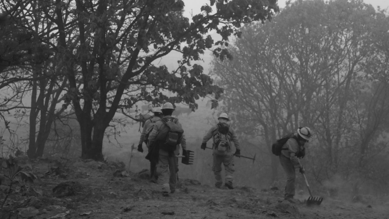 Incendio en Bosque de la Primavera se reactiva tras haberlo sofocado