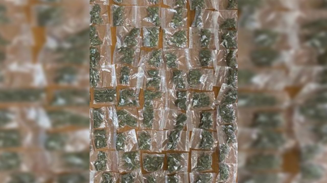 Operativos de la PESP permiten sacar 6 mil dosis de drogas de las calles