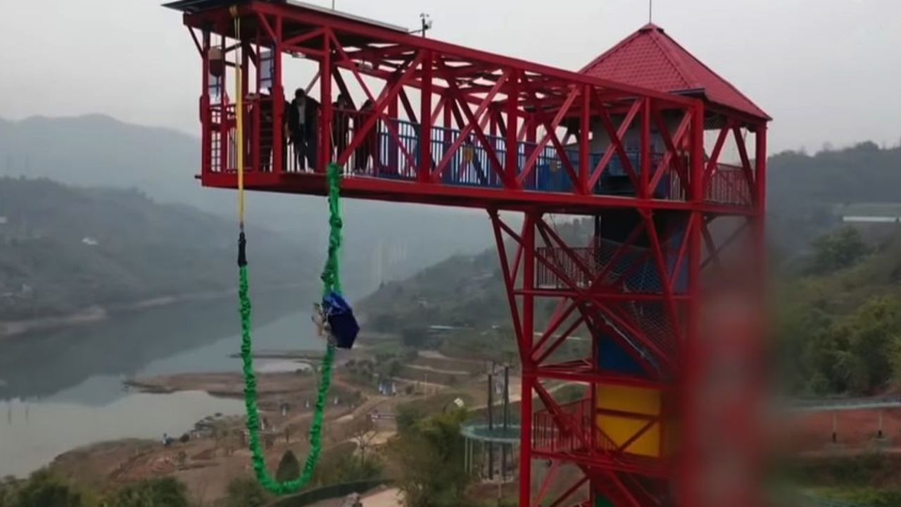 Parque de China es acusado de maltrato animal al lanzar un cerdo de un bungee