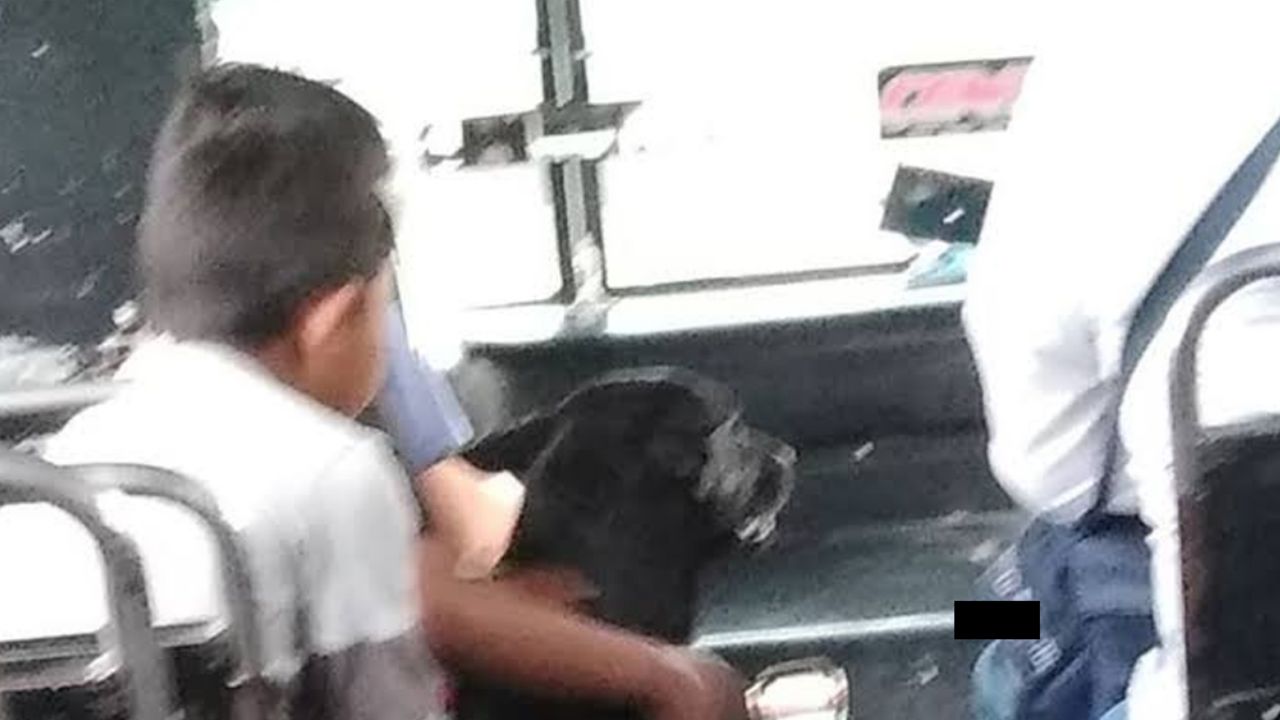 Chofer deja subir a niños con mascota a su autobús y se hace viral