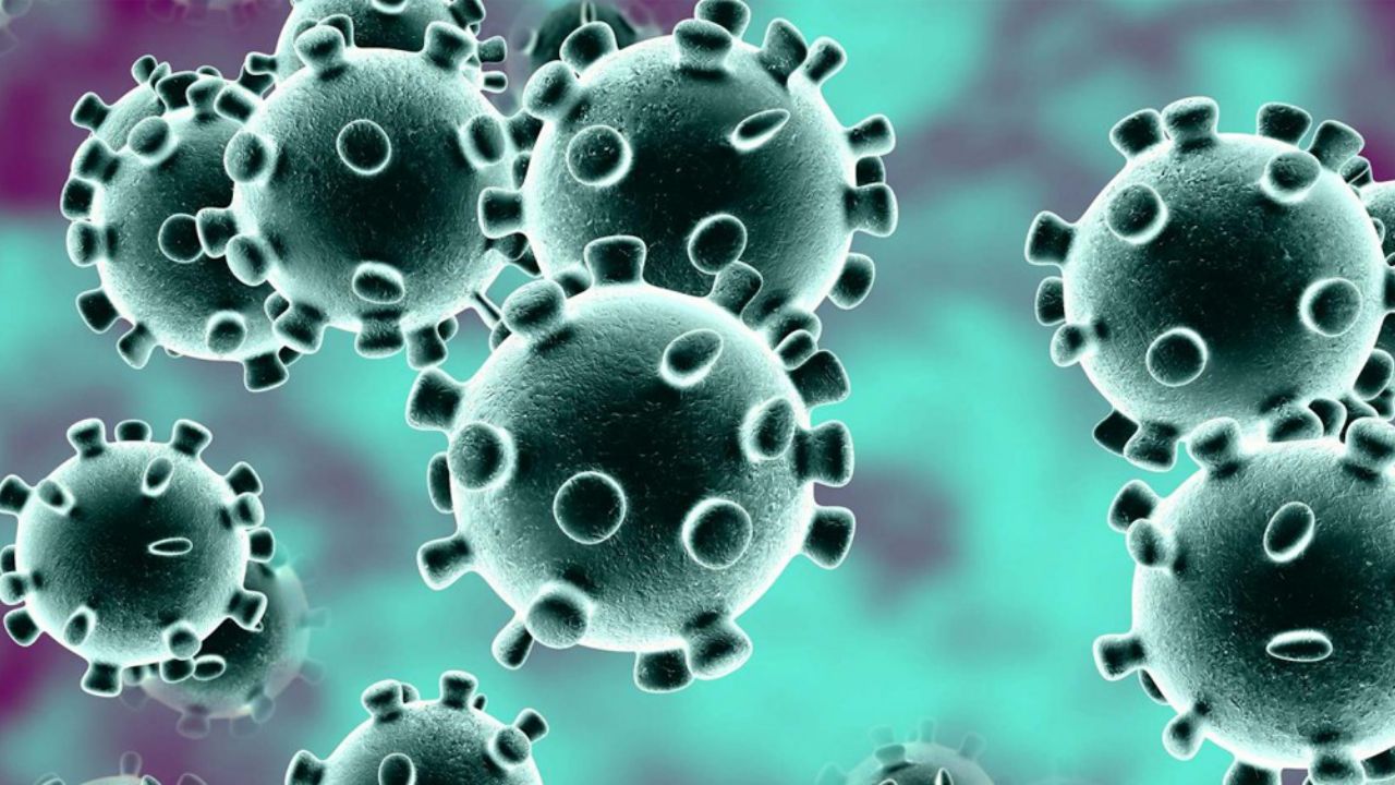 Gobierno de Tamaulipas descarta alerta en México por caso de coronavirus