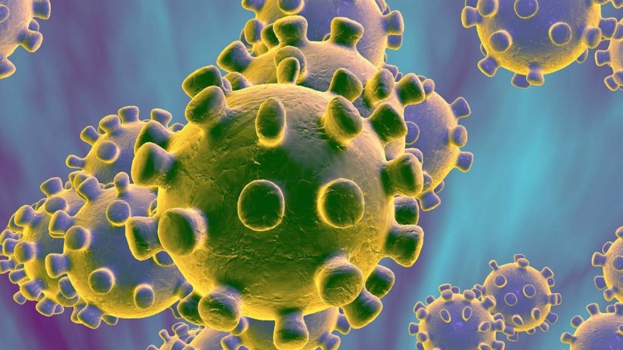 Será hasta dentro de 72 horas que se sabrá si el coronavirus llegó a México