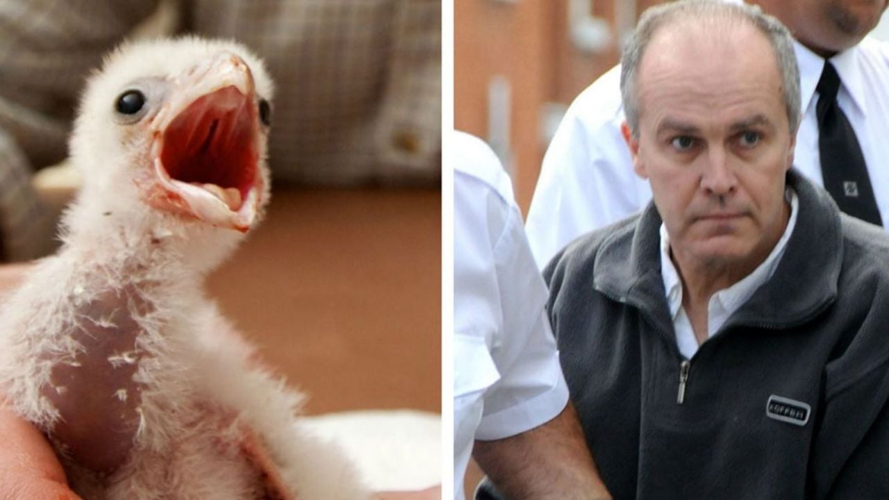 Brasil pide a Reino Unido la extradición de ‘Pablo Escobar de los huevos’