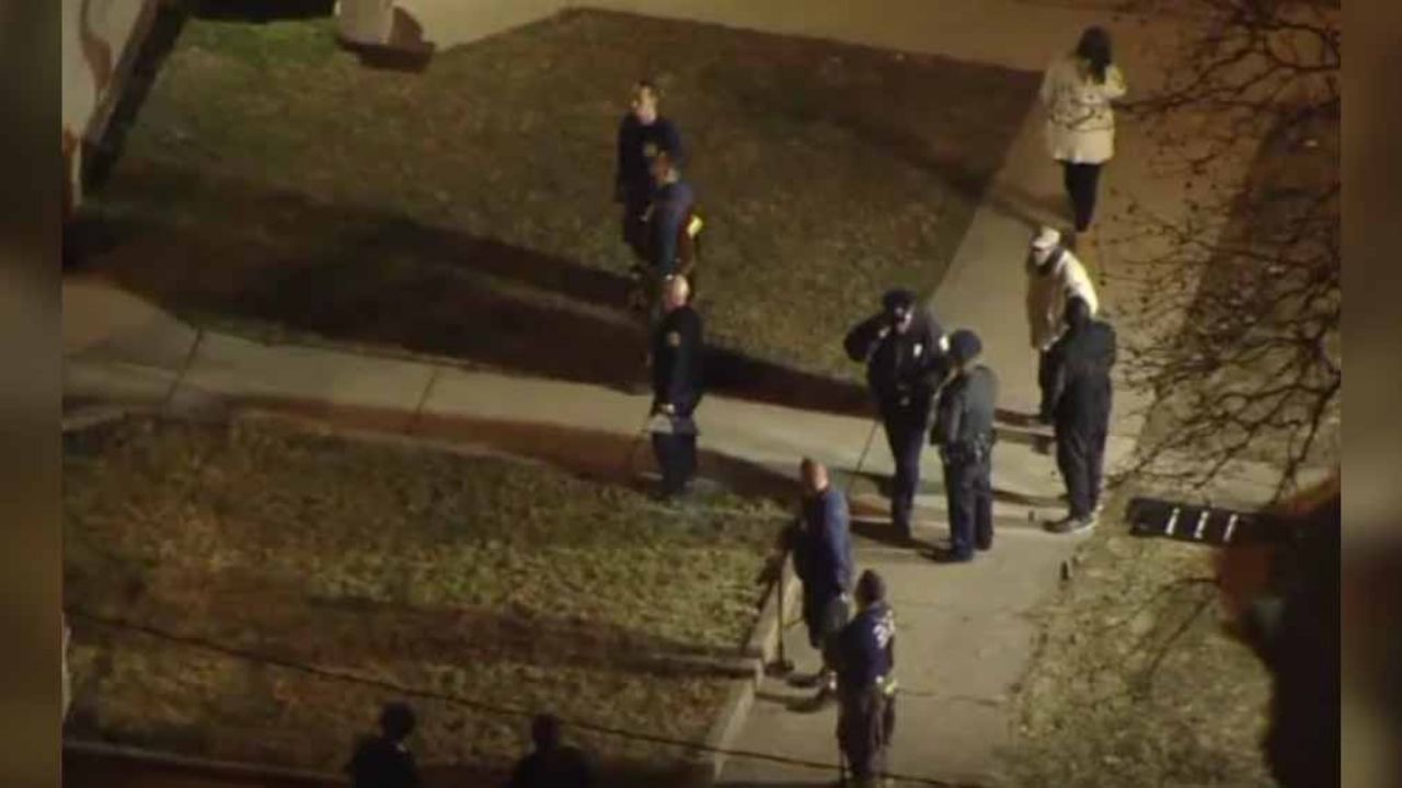 Perros se comen el cadáver de su dueño; el hombre moriría de causas naturales