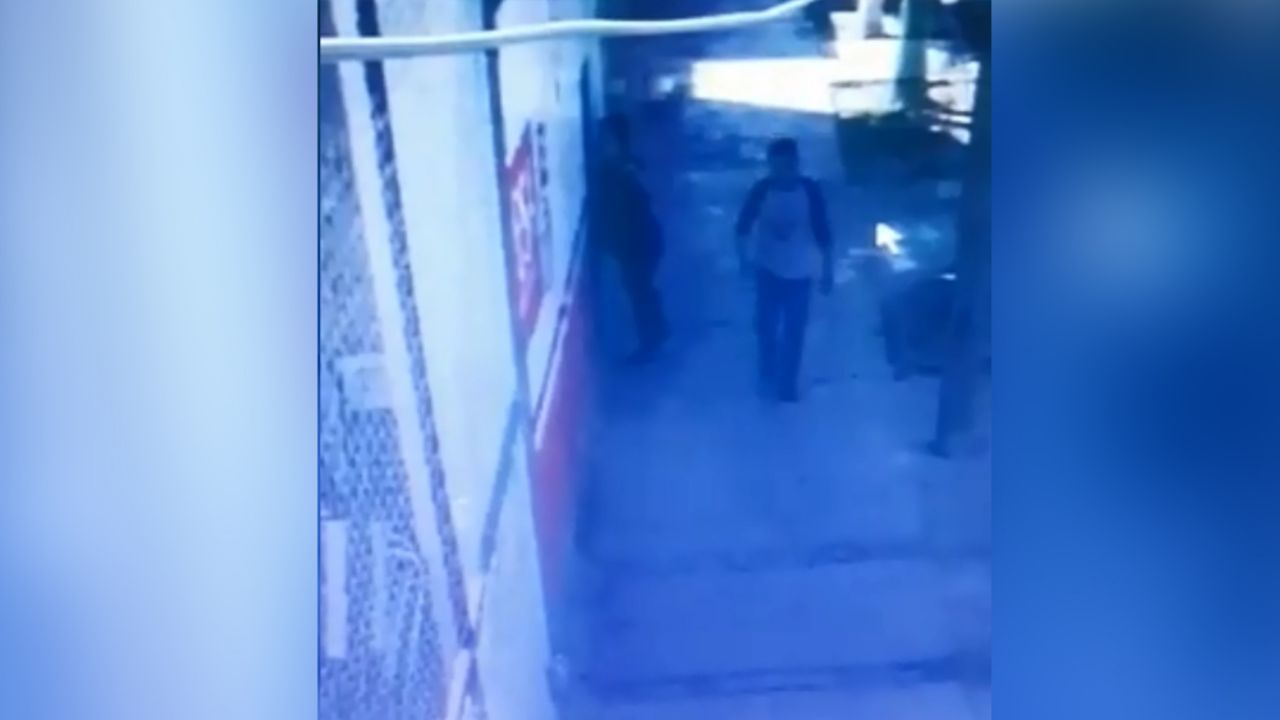 VIDEO: ¡Indignante! Hombre acuchilla a un indefenso perro en el ojo en Durango
