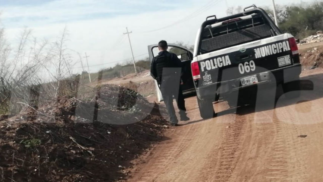 Macabro hallazgo: Descubren restos óseos de una persona en predio