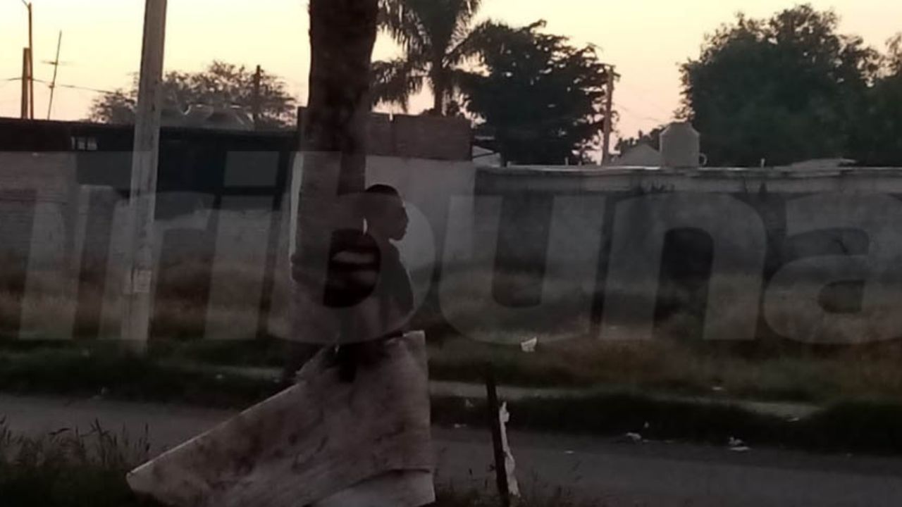 Vecinos, cansados de la delincuencia, atrapan y golpean a ladrón