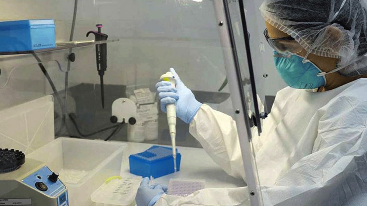 Vacuna para combatir el coronavirus podría tardar hasta 10 años