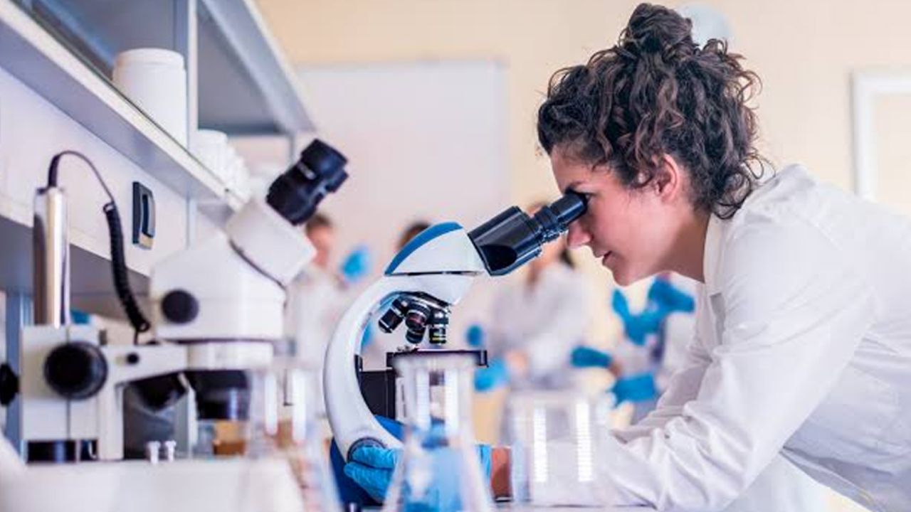 Arenavirus: Estos son sus síntomas y la forma de evitar el contagio