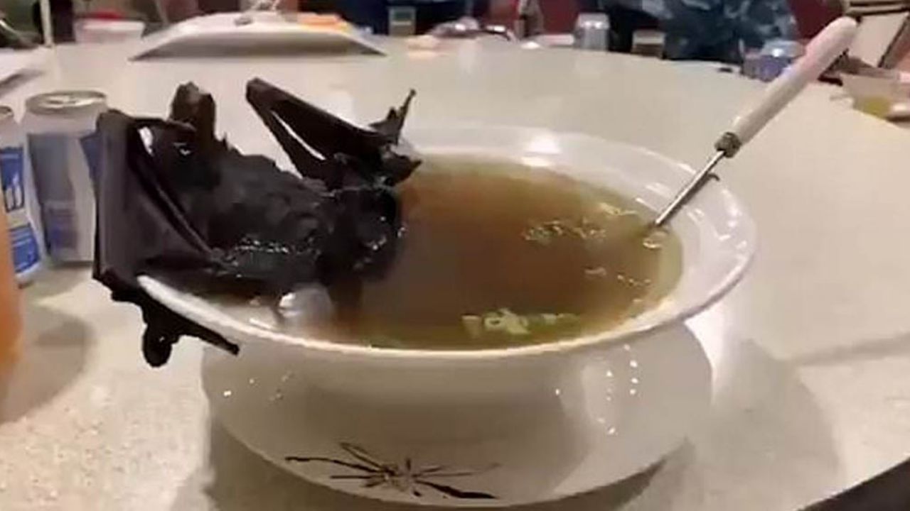 Joven asiática se olvida del coronavirus y se graba al comer murciélago