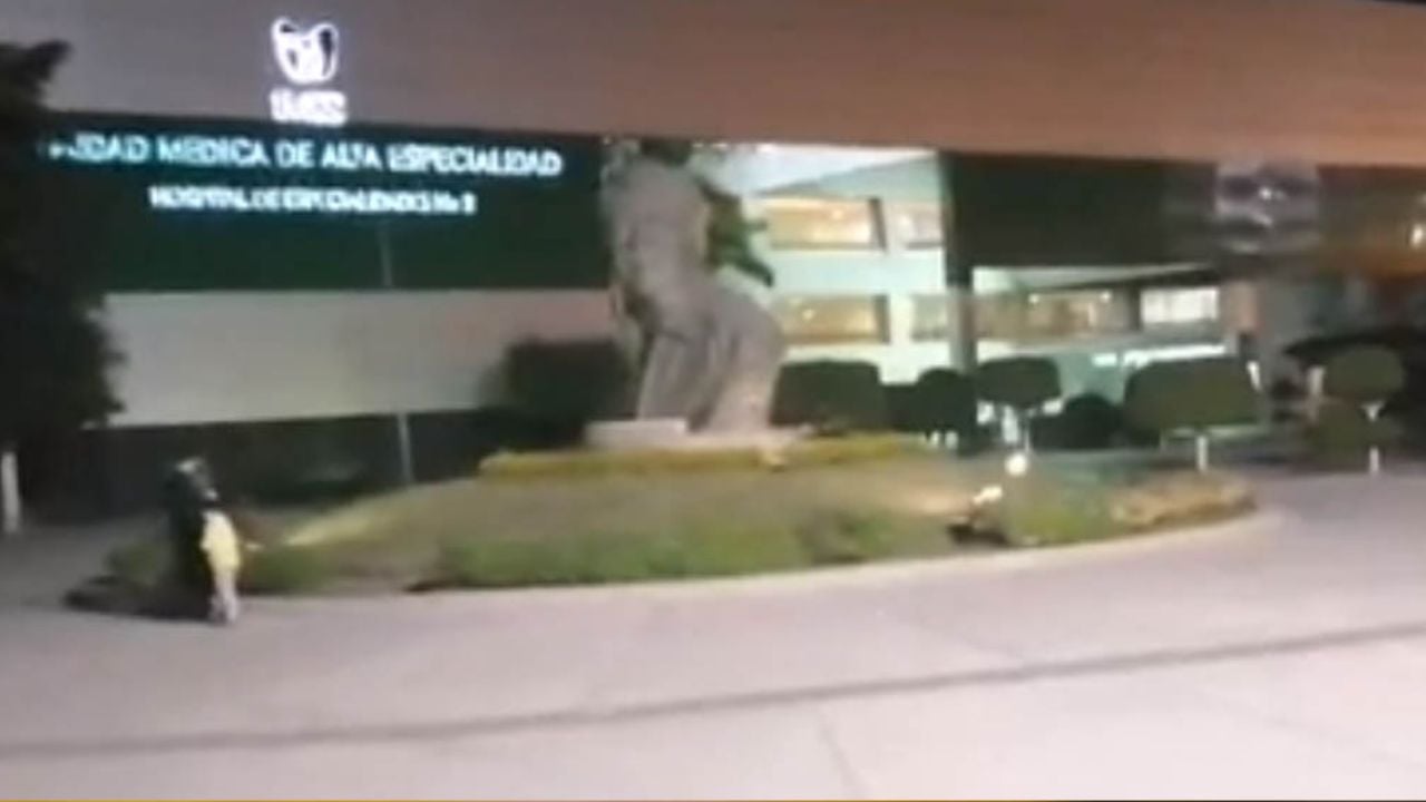 Dos sujetos son detenidos en posesión de un arma de fuego dentro del IMSS