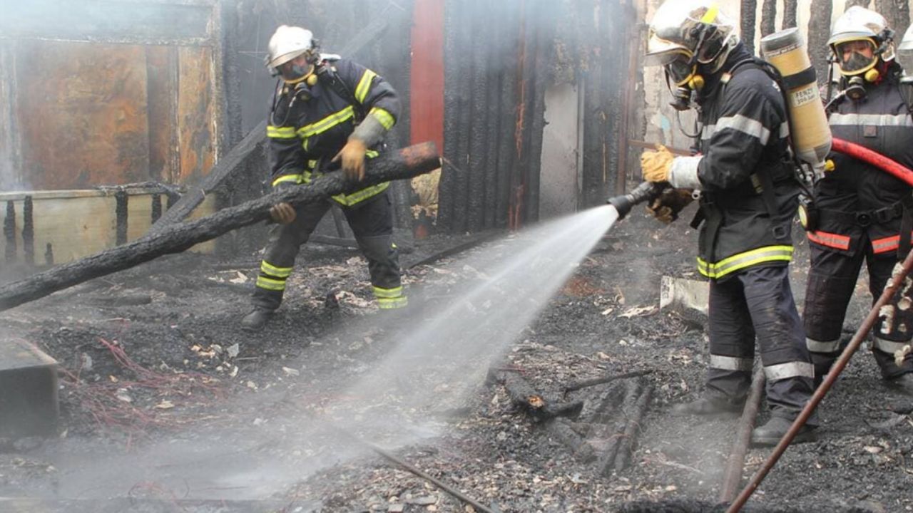 VIDEO: Trágico incendio mata a 57 animales en zoológico de Francia