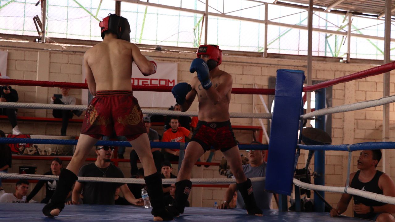 Cajeme da la cara en el torneo Estatal de Kick boxing y Artes Marciales Mixtas
