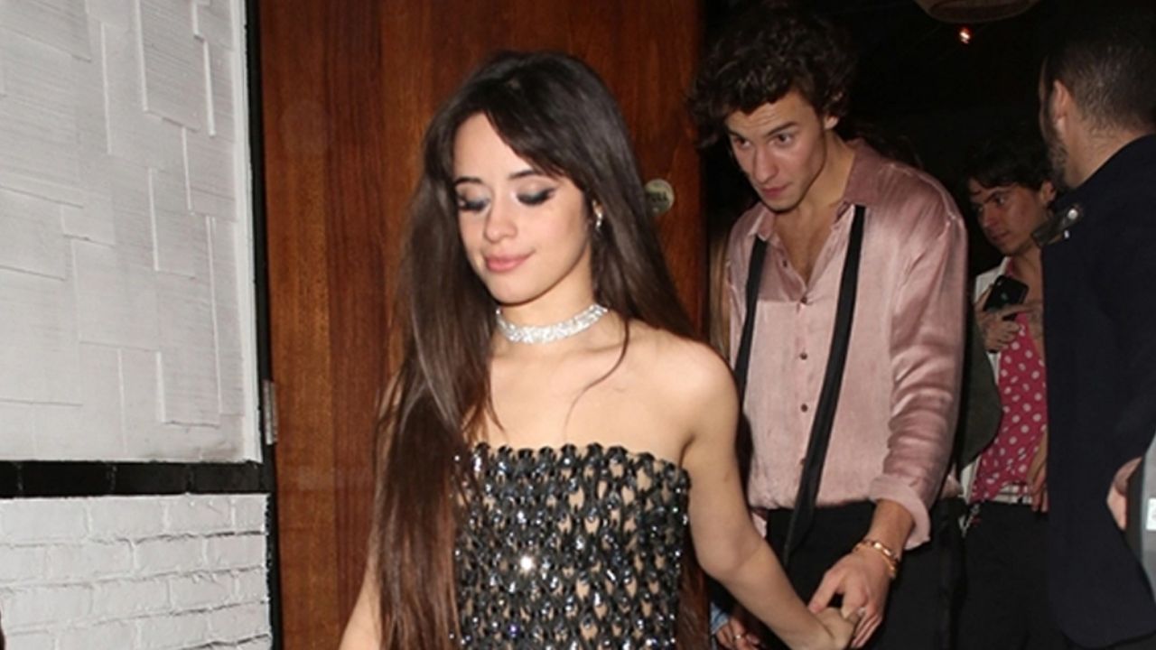 Camila Cabello y Shawn, ‘ebrios’ bailan y cantan al ritmo de One Direction