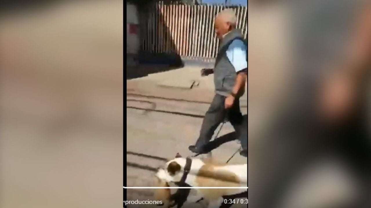 VIDEO: Hombre permite que su perro mate un gatito y lo presume en la calle