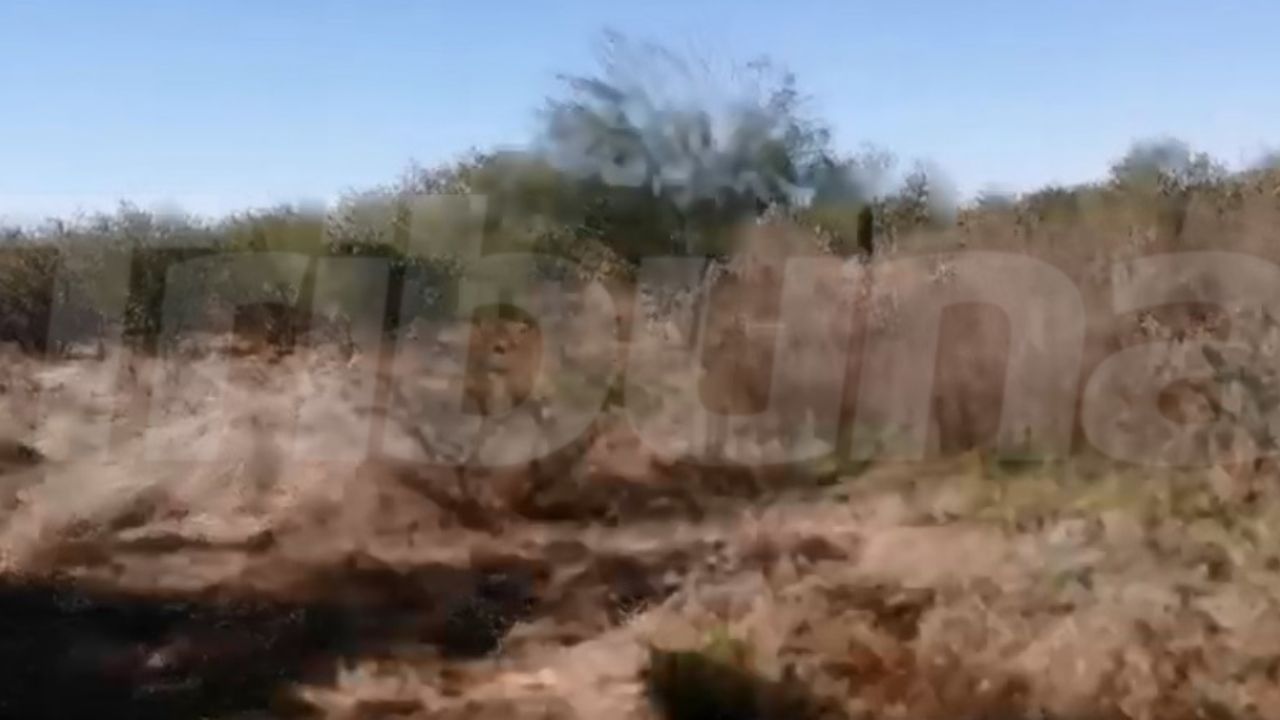 Hallazgo de restos humanos moviliza a Policía Municipal y militares