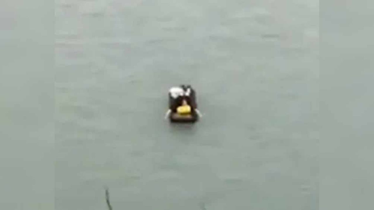 VIDEO: Persona intenta huir en bote de zona en cuarentena por coronavirus