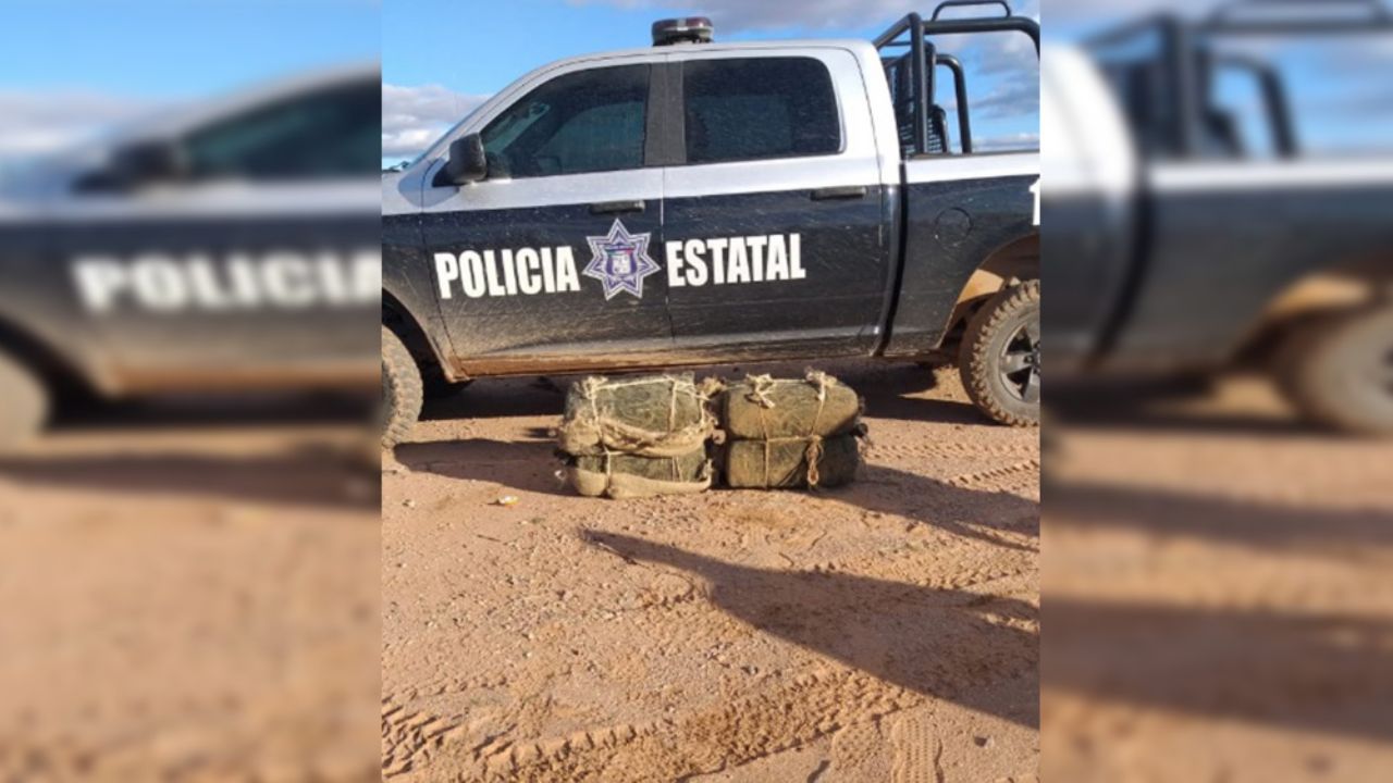 Grandes cantidades de drogas son aseguradas por PESP y Sedena